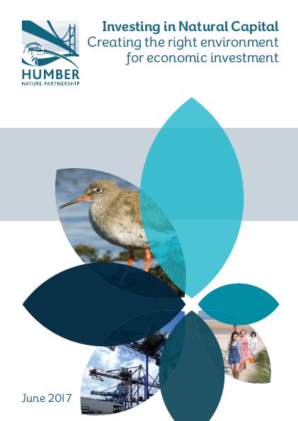 Investing in Natural Capital. Creating the right environment for economic investment. Plan front page June 2017.