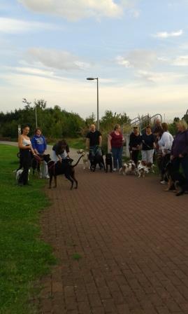 A group of dog walkers and their dogs.