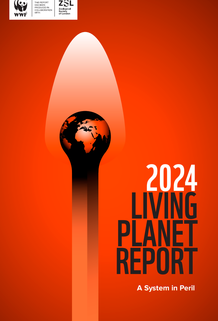 WWF and ZSL collaboration report entitled 2024 Living planter report: A system in Peril. The imagine shows the earth as the top of a low burning match stick.