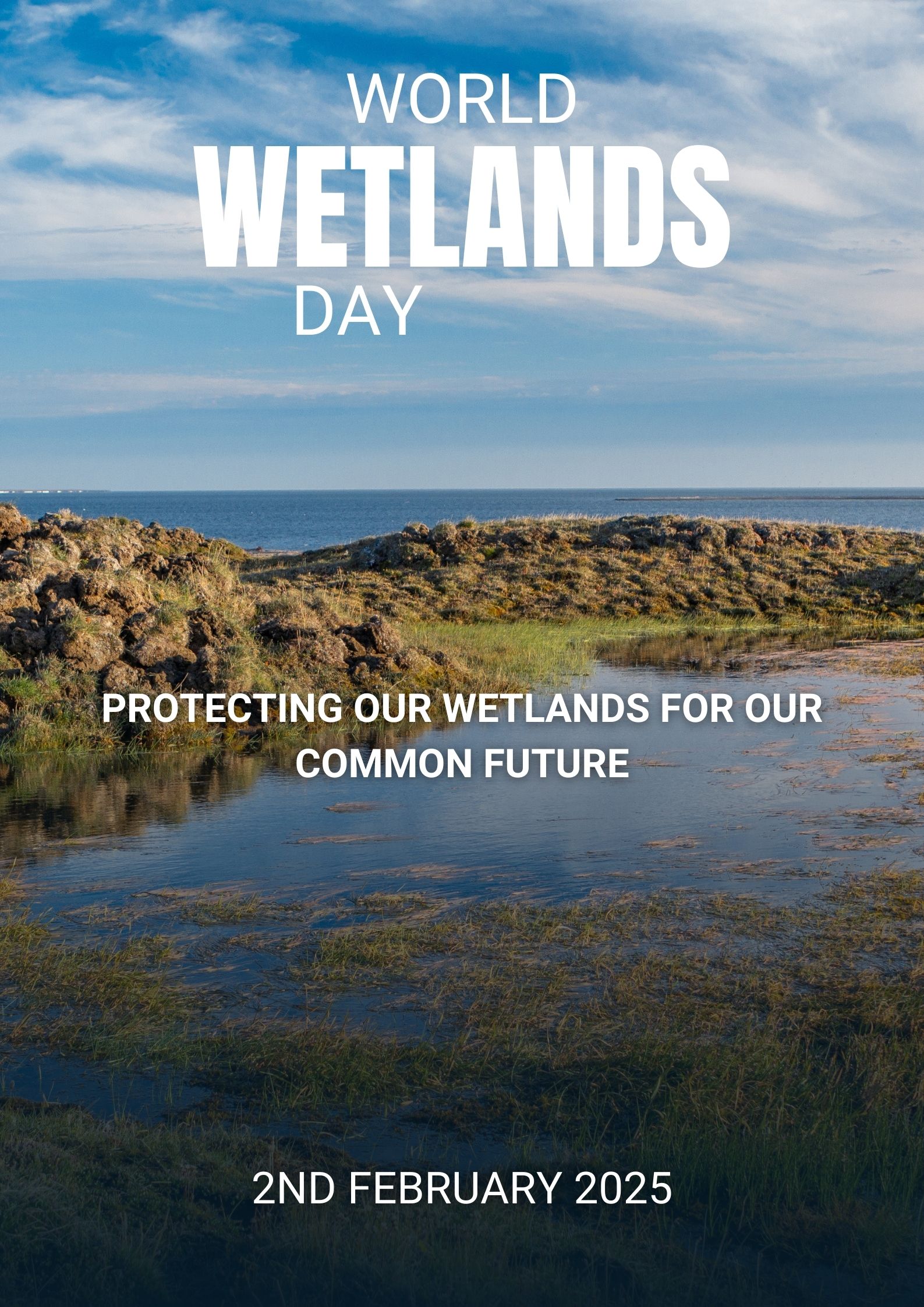 World Wetlands day poster.