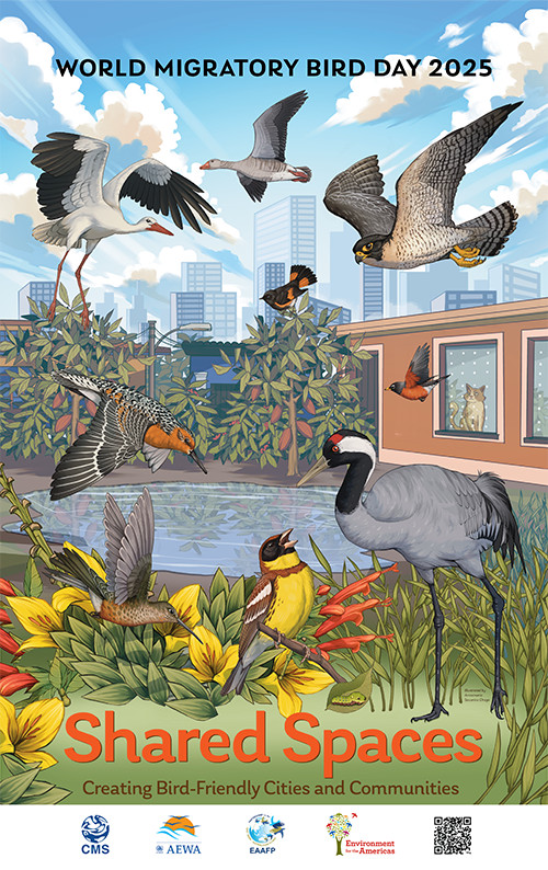 Different species of birds in an urban habitat coexisiting.
