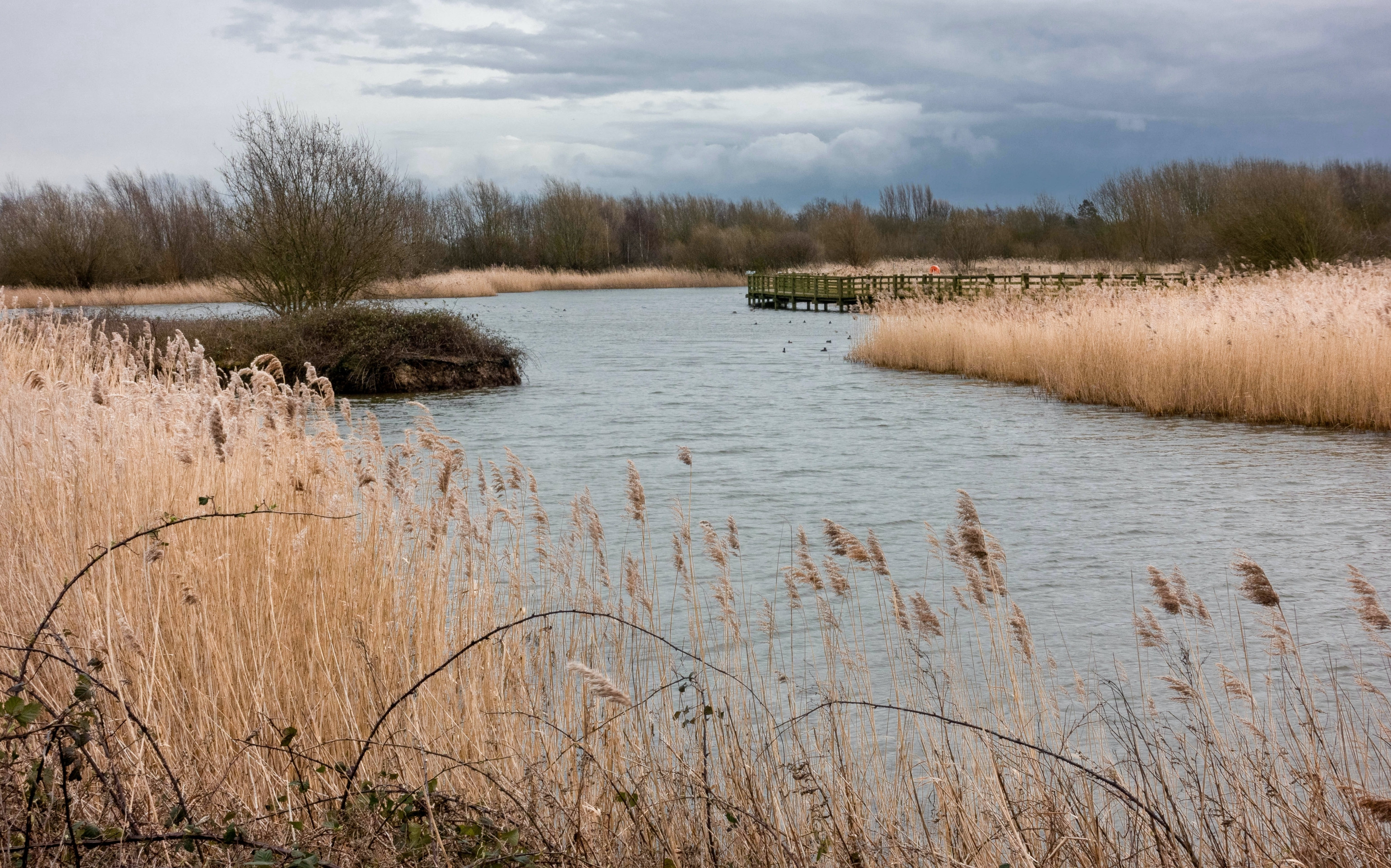 View of the lake at Waters Edge visitors centre.