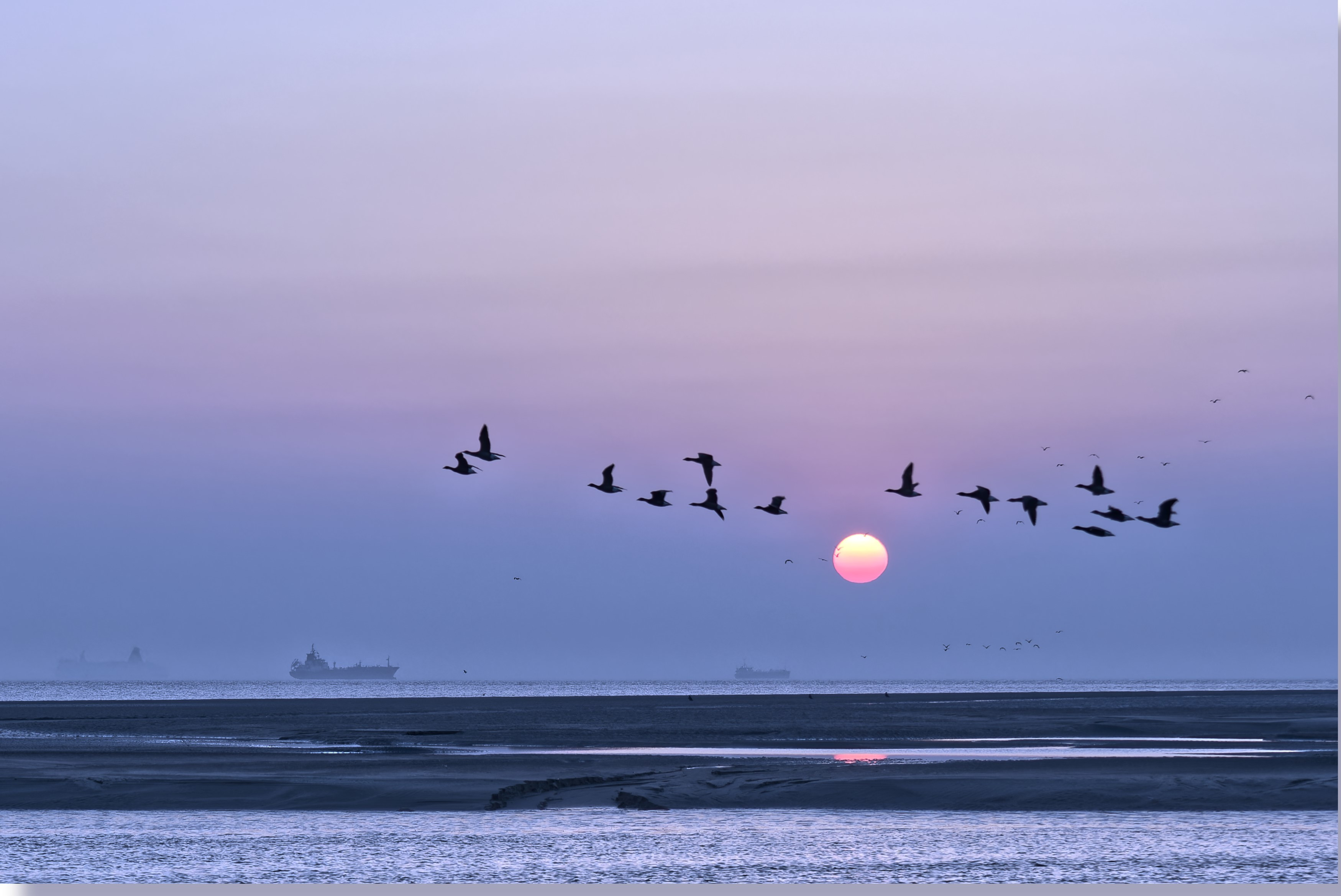 A flock of geese, flying over the Humber.