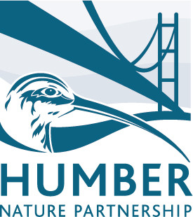 The Humber Nature Partnerhsip Logo, with a curlew bird in the foreground and the Humber bridge in the background.