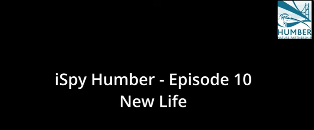 iSpy Humber text.