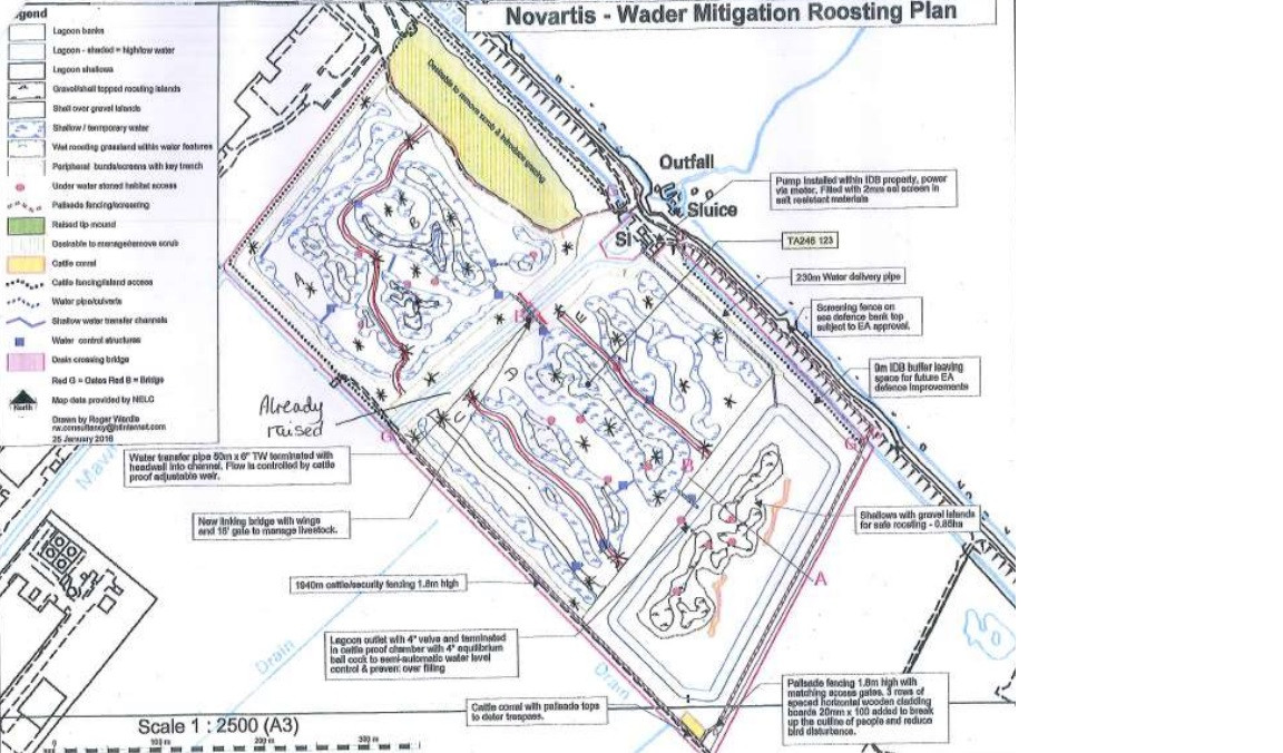Novartis wader mitigation site map. The map outlines areas set that will be flooded, raised and developed into standing water grassland habitats.