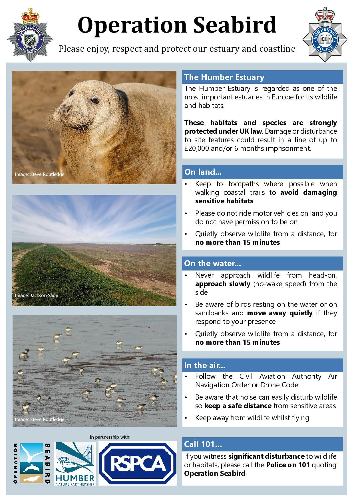 Operation Seabird news bulletin.