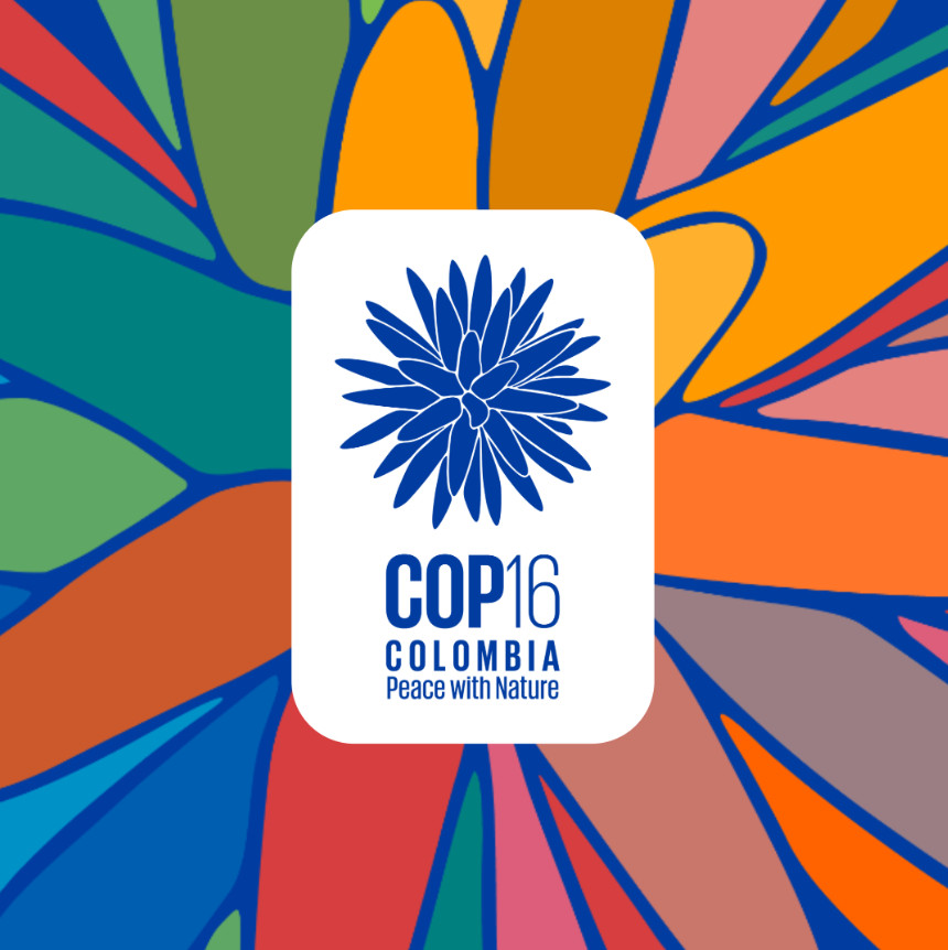 COP16 logo.