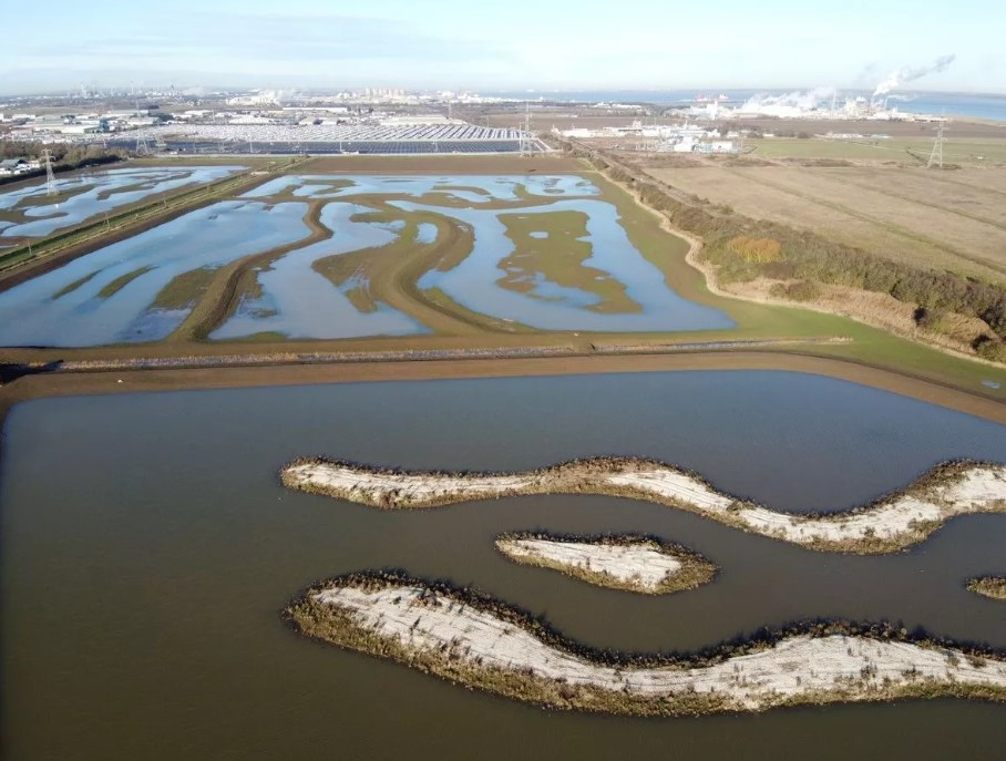 Areal view of SHG mitigation site created wetland habitat for wading birds. The site has standing water grassland, with raised beds for birds roosting.