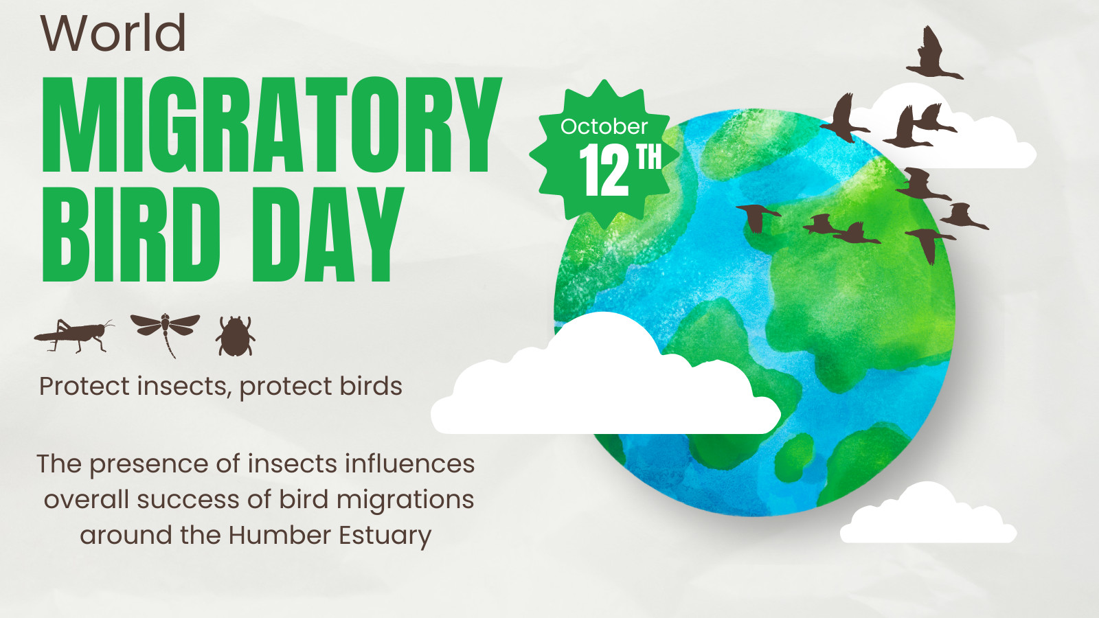 Poster for world migratory bird day 12th October 2024. The poster shows a art image of the globe with clouds and birds flying over it. The text states 